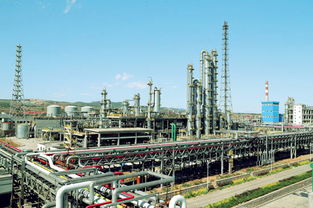 现代精细化工引领转型 山西潞宝集团的创新发展之路